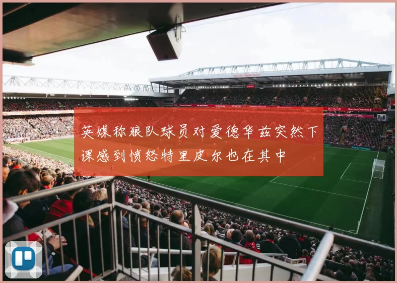 英媒称狼队球员对爱德华兹突然下课感到愤怒特里皮尔也在其中